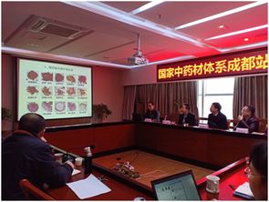 四川省農(nóng)業(yè)科學(xué)院 國家中藥材體系成都試驗站川芎育種與栽培技術(shù)研討會成功舉行