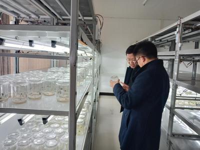 科技賦能鄉(xiāng)村振興 市科技局深入科研院所調研農業(yè)科研工作