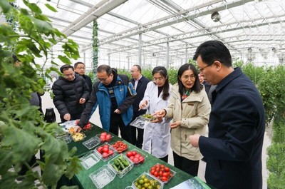 省農(nóng)業(yè)農(nóng)村廳副廳長曹麗虹一行調(diào)研我院溧水基地設施農(nóng)業(yè)和智慧農(nóng)業(yè)場景建設